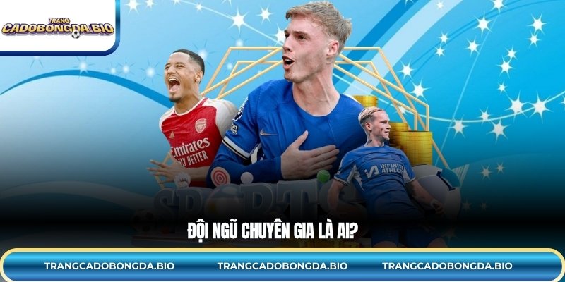 Đội Ngũ Chuyên Gia là ai?