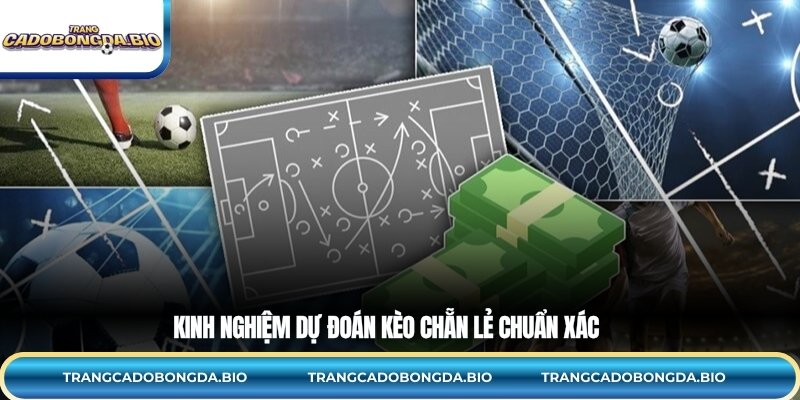 Kinh nghiệm dự đoán kèo chẵn lẻ chuẩn xác