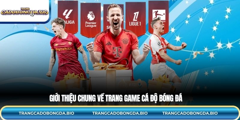 Giới thiệu chung về trang game cá độ bóng đá