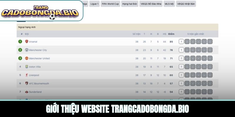Giới thiệu website ridedaltex.com
